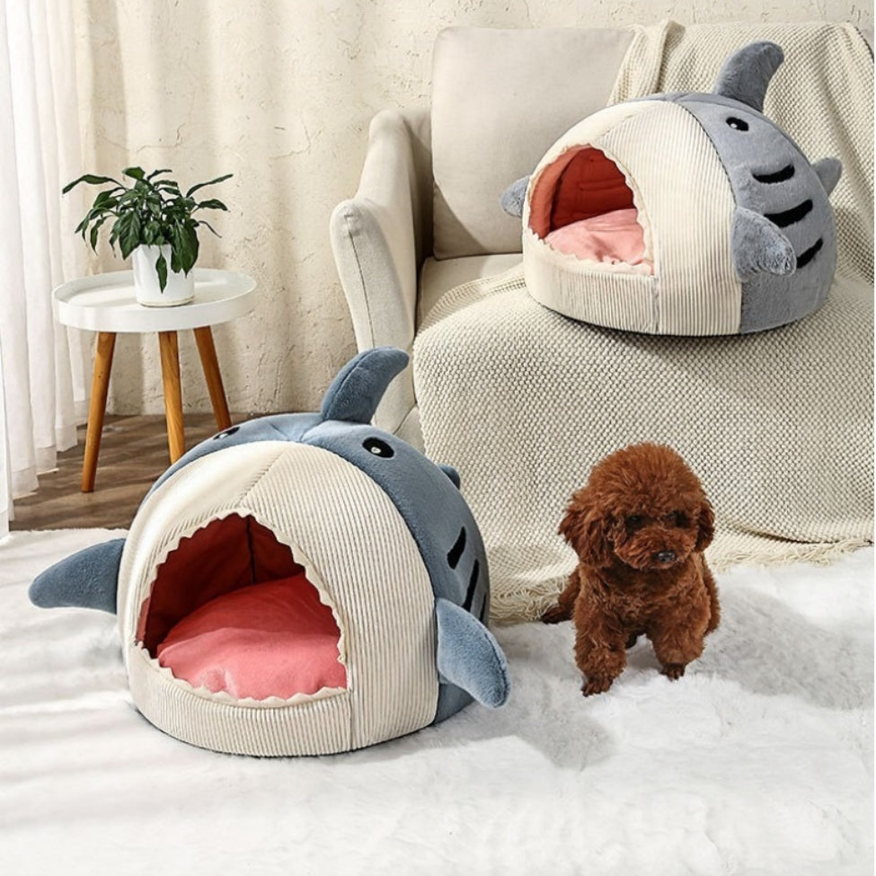 Caniche à côté de deux couleurs de niche chien intérieur, bleu et gris