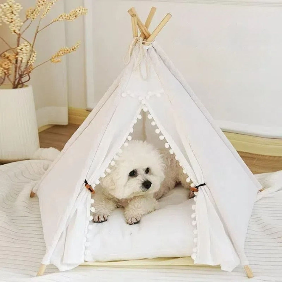Bichon installé dans sa niche pour chien intérieur en forme de tente blanche