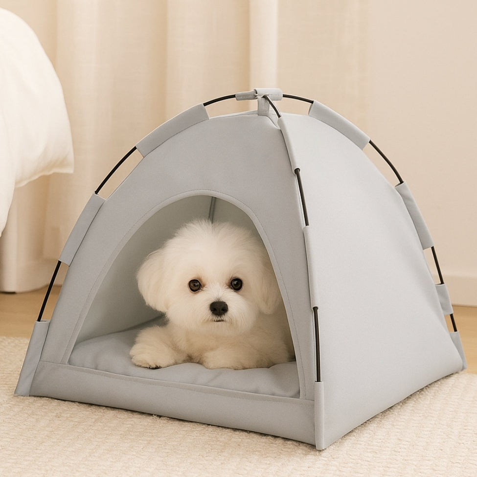 Bichon regarde curieusement depuis sa niche pour petit chien, dans la chambre