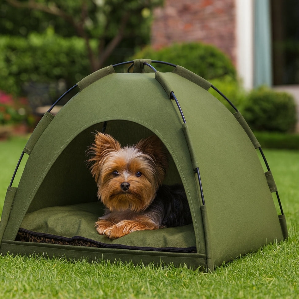 Yorkshire relaxé dans sa niche pour petit chien extérieur, dans le jardin