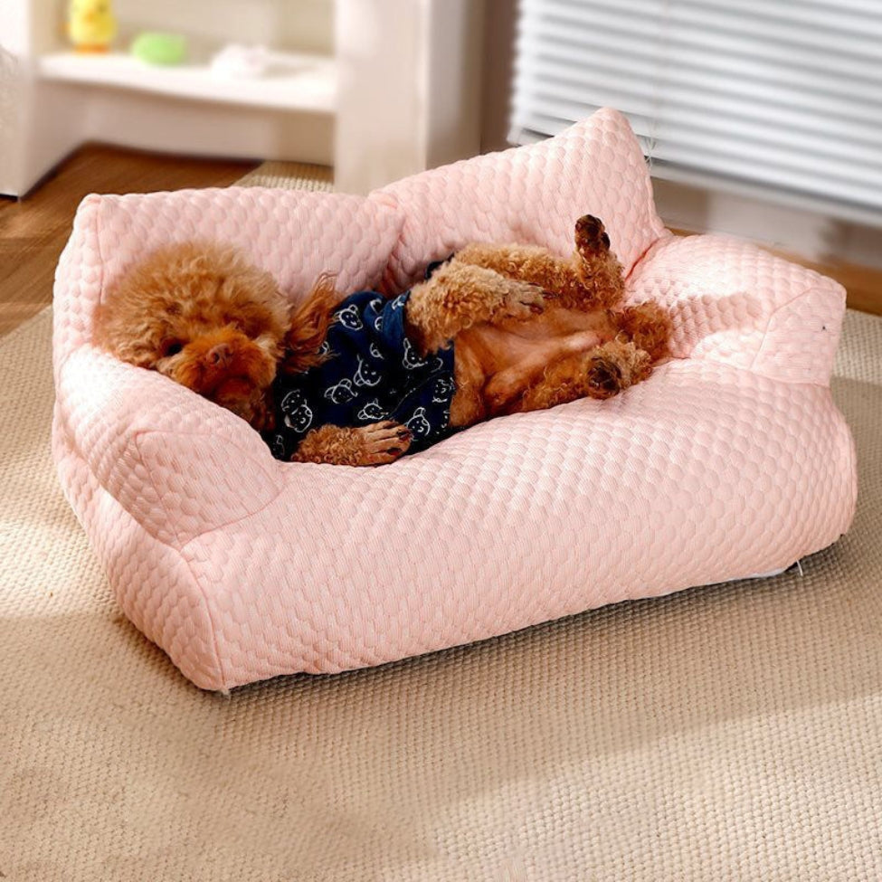 Caniche allongé paisiblement sur un canapé chien Oslo rose, doux et raffiné