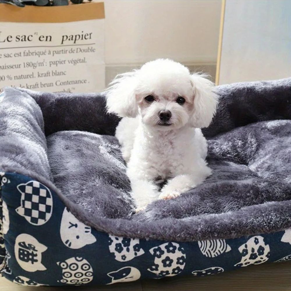 Caniche dans un panier Ă chien bleu, bien-ĂȘtre et calme
