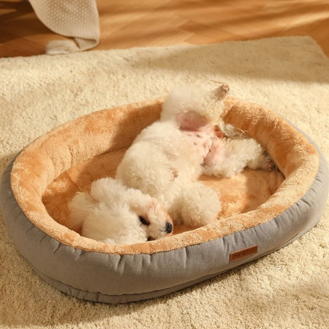 Caniche allongé sur le dos dans un panier à chien gris, sommeil réparateur