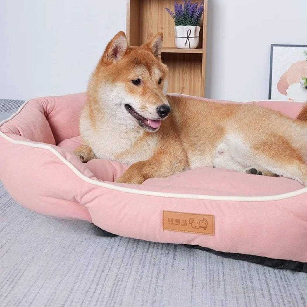 Toutou observe tranquillement depuis son panier Ă chien rose
