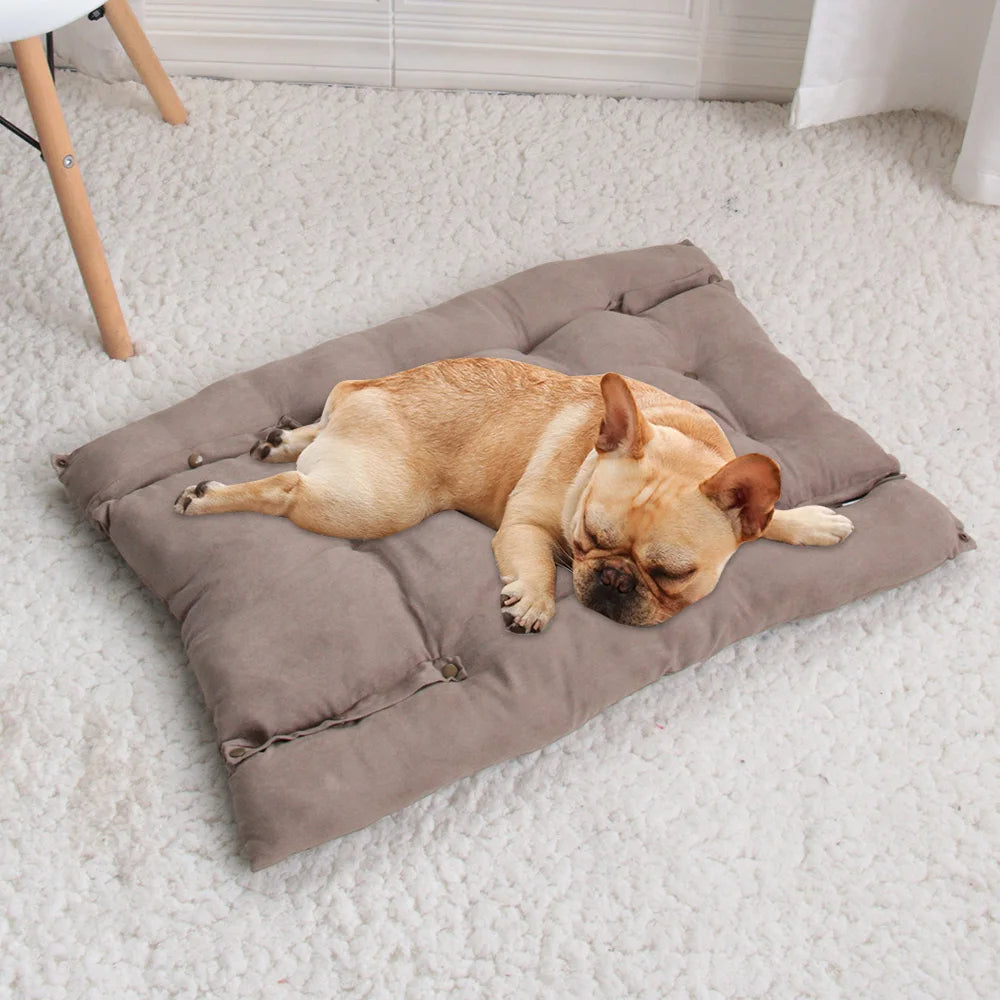 Bouledogue allongé dans un panier chien confortable, regard serein