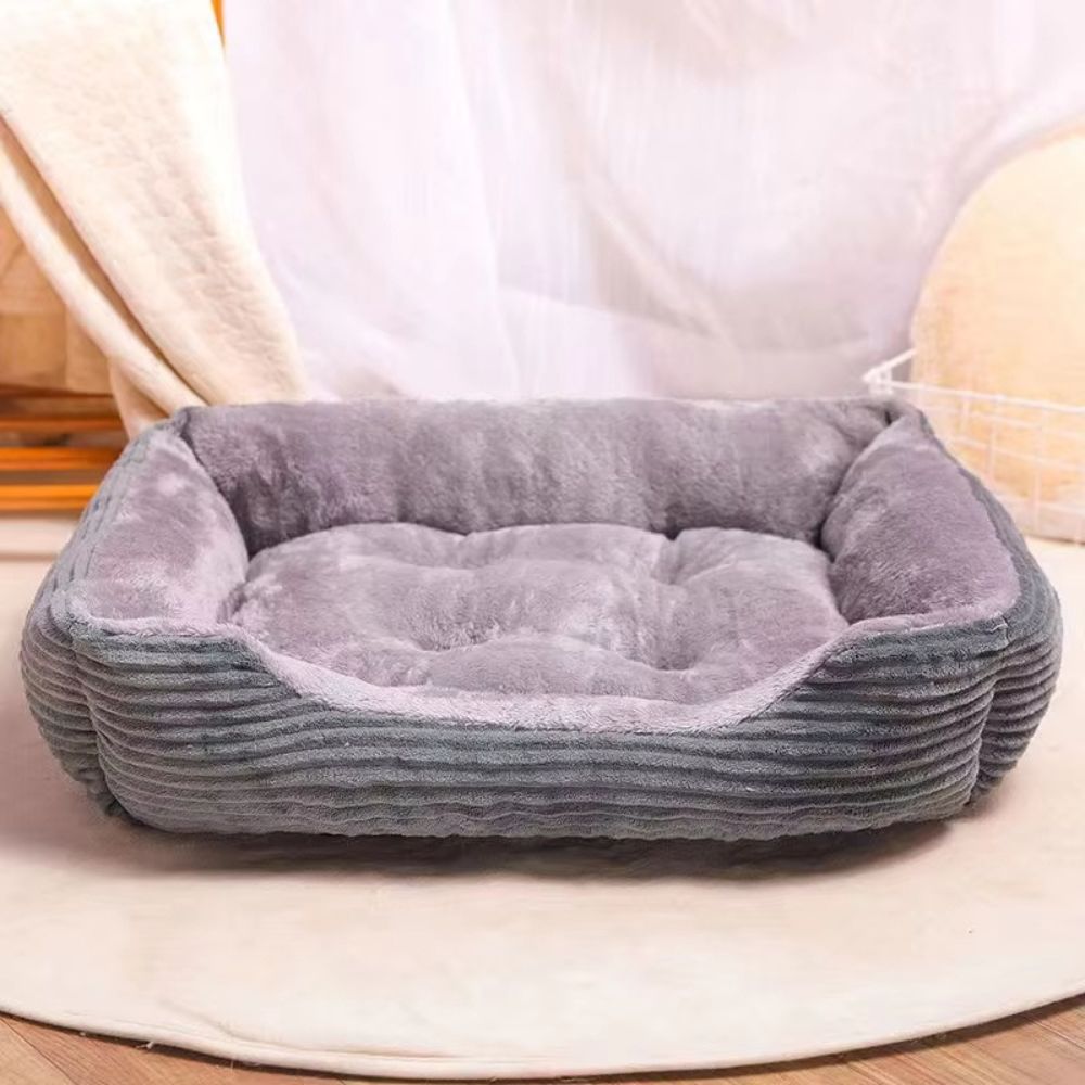 Panier chien gris ergonomique exposé, au design moderne et fonctionnel