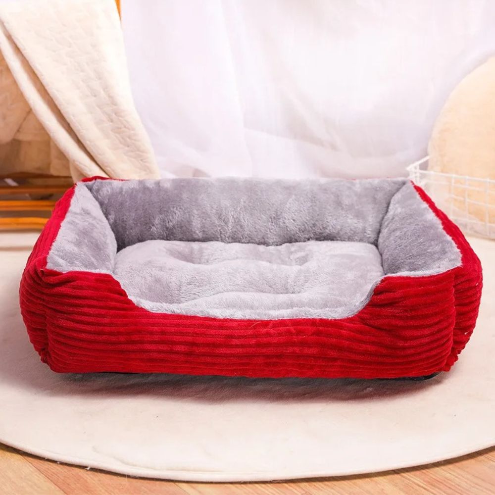 Panier chien rouge présenté seul, design élégant