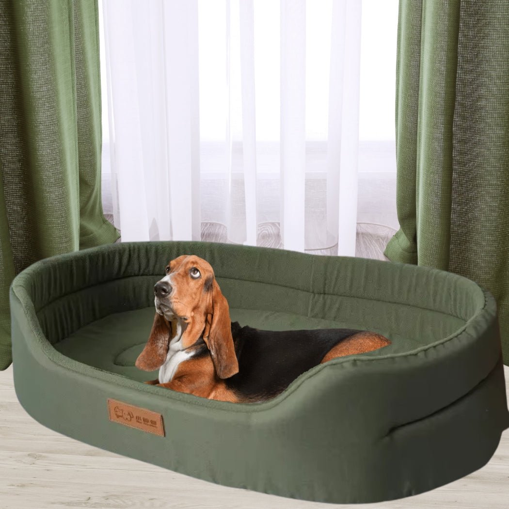Basset hound, regard levé, profite du confort d'un panier chien xxl vert