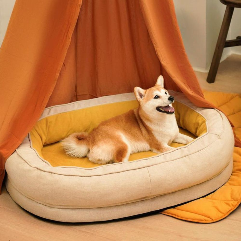 Panier orthopédique chien douillet avec shiba heureux, couchage apaisant et cocooning
