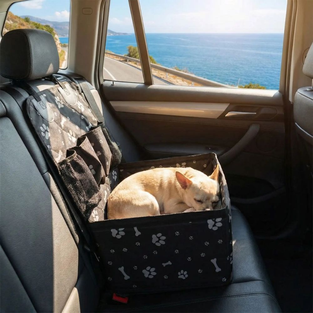 Petit chihuahua endormi dans un panier voiture pour chien lors d’un trajet avec vue sur la mer