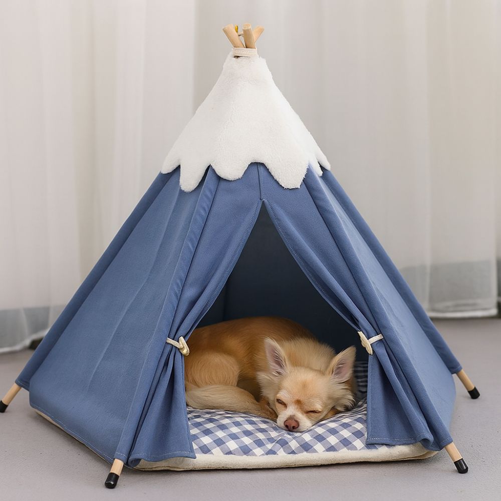 Petit chihuahua repose confortablement dans un tipi pour chien sur le coussin doux