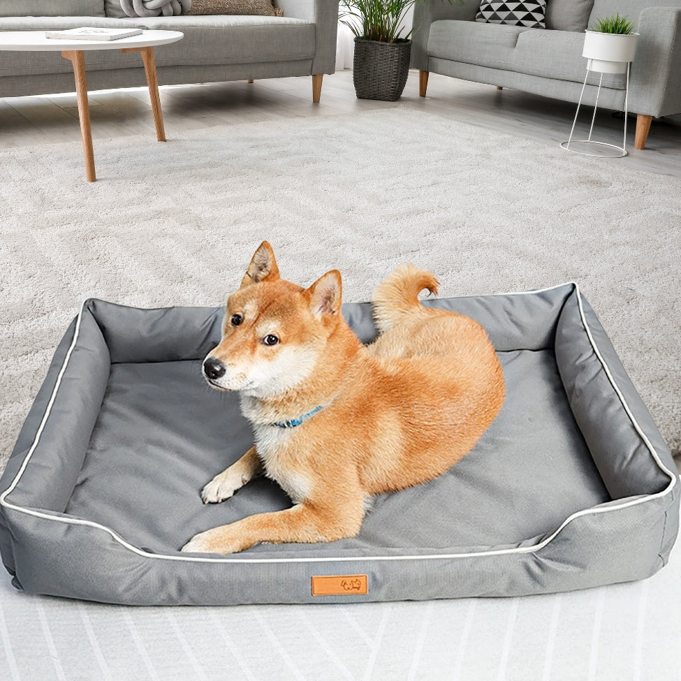 Shiba Inu confortablement installé dans son lit pour chien avec un regard triste