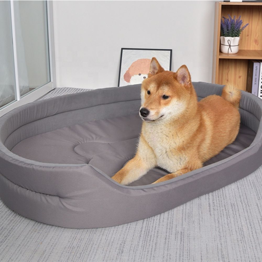 Shiba relax dans un panier chien XXL apaisant, bord moelleux