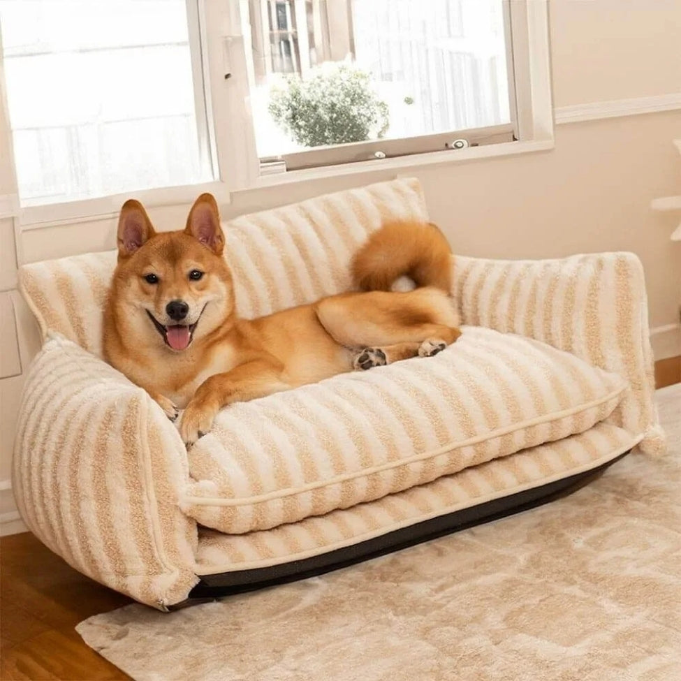 Shiba installĂ© confortablement sur un canapĂ© pour chien bien-ĂȘtre Paris