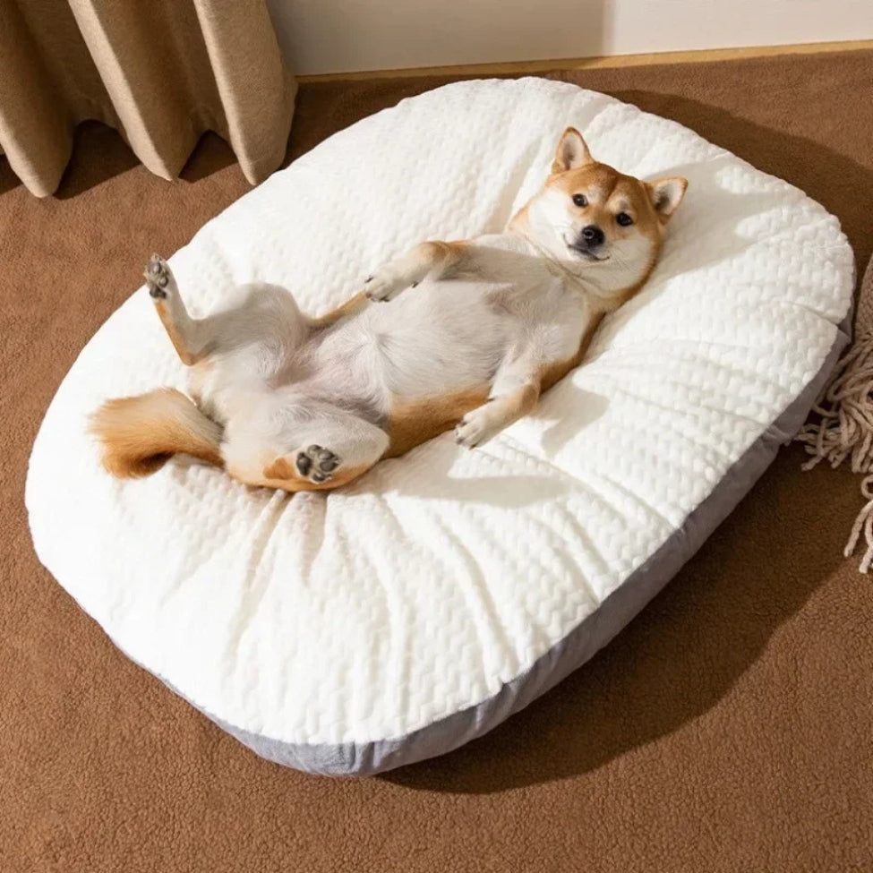 Shiba allongé sur le dos, totalement détendu sur des coussins pour chien confortables et rassurants