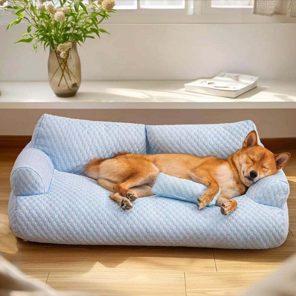 Shiba dormant profondément sur un canapé chien Oslo moelleux et confortable