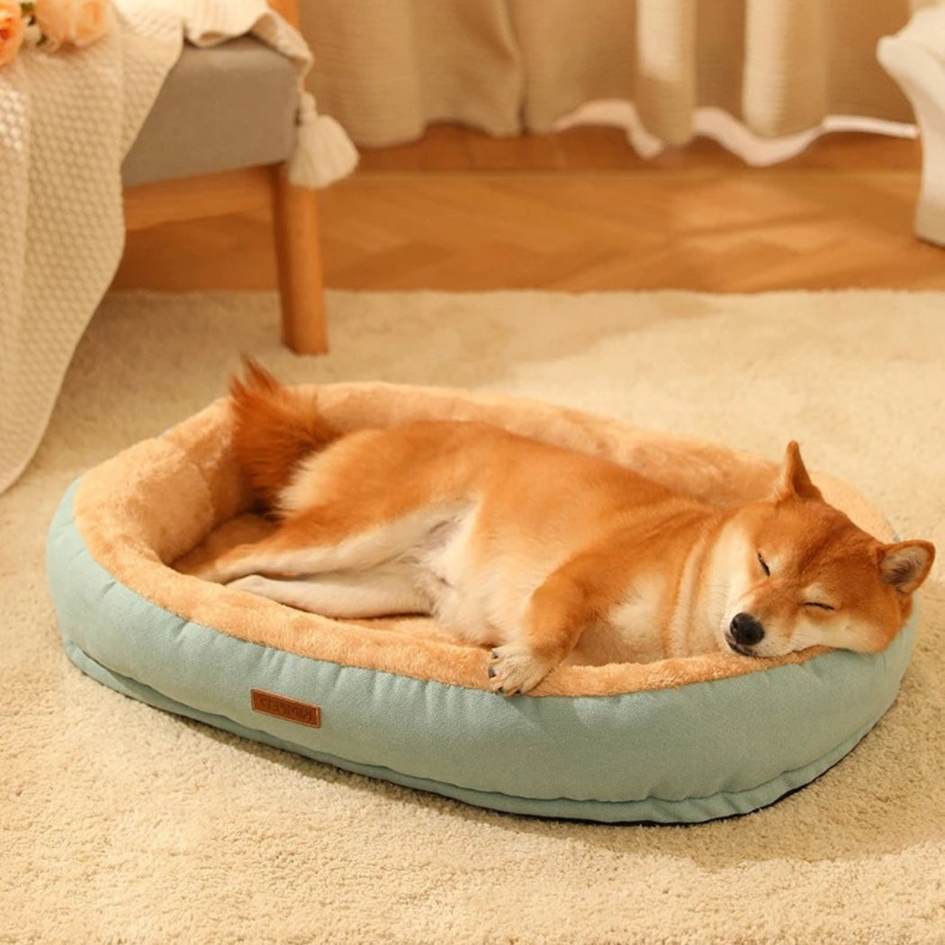 Shiba profondément endormi dans un panier à chien apaisant, bord moelleux