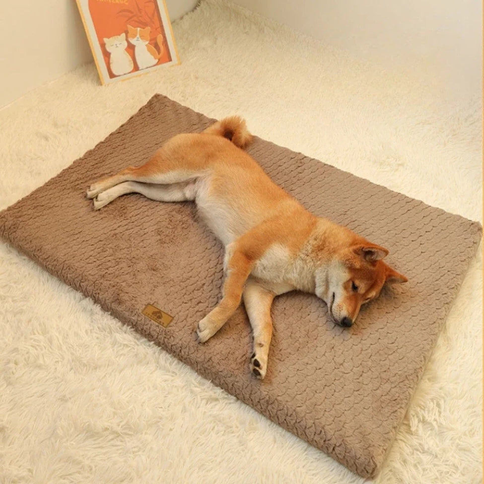 Shiba somnolant paisiblement sur un tapis chien