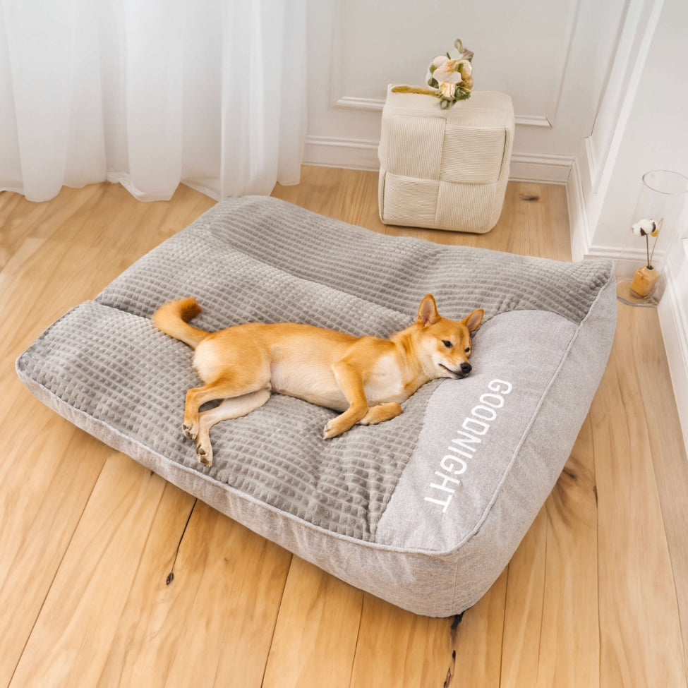 Shiba somnole paisiblement sur un lit chien douillet, base antidérapante