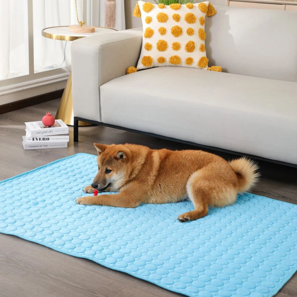 Shiba détendu sur un tapis rafraichissant pour chien, havre de fraîcheur