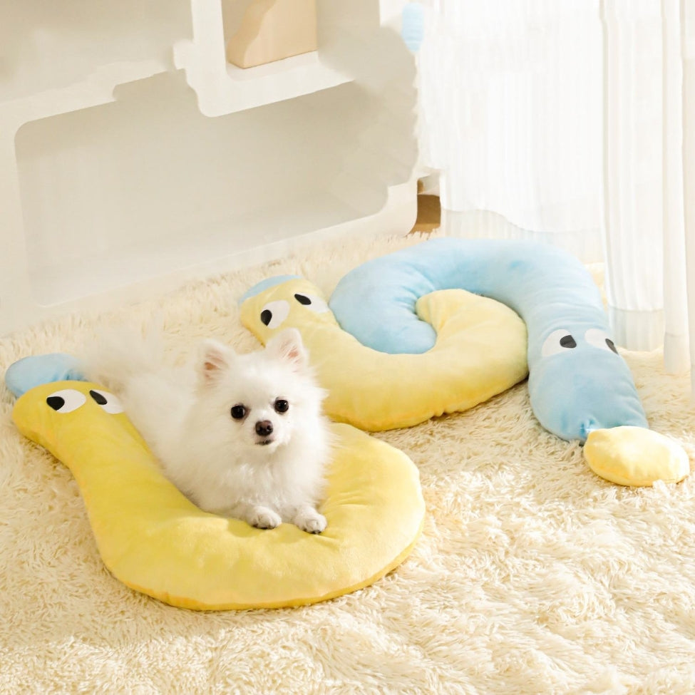 Spitz dĂ©tendu sur un coussin pour chien pensĂ© pour le bien-ĂȘtre et la relaxation