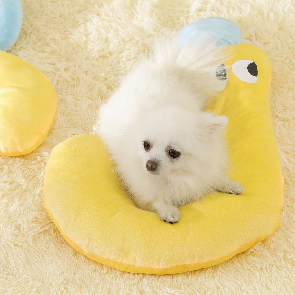 Spitz couché sur un coussin pour chien style design qui allie confort et élégance