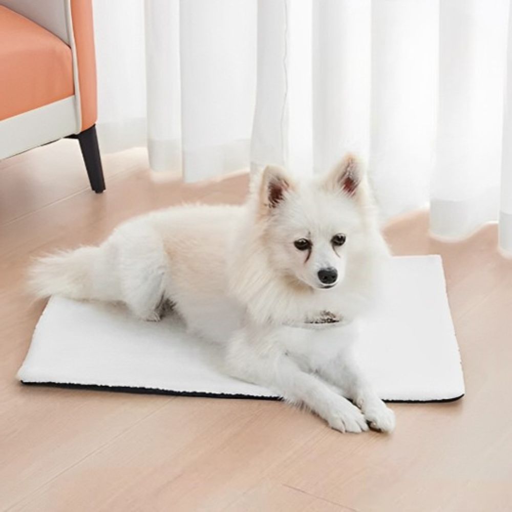 Spitz reposant confortablement sur un tapis pour chien blanc