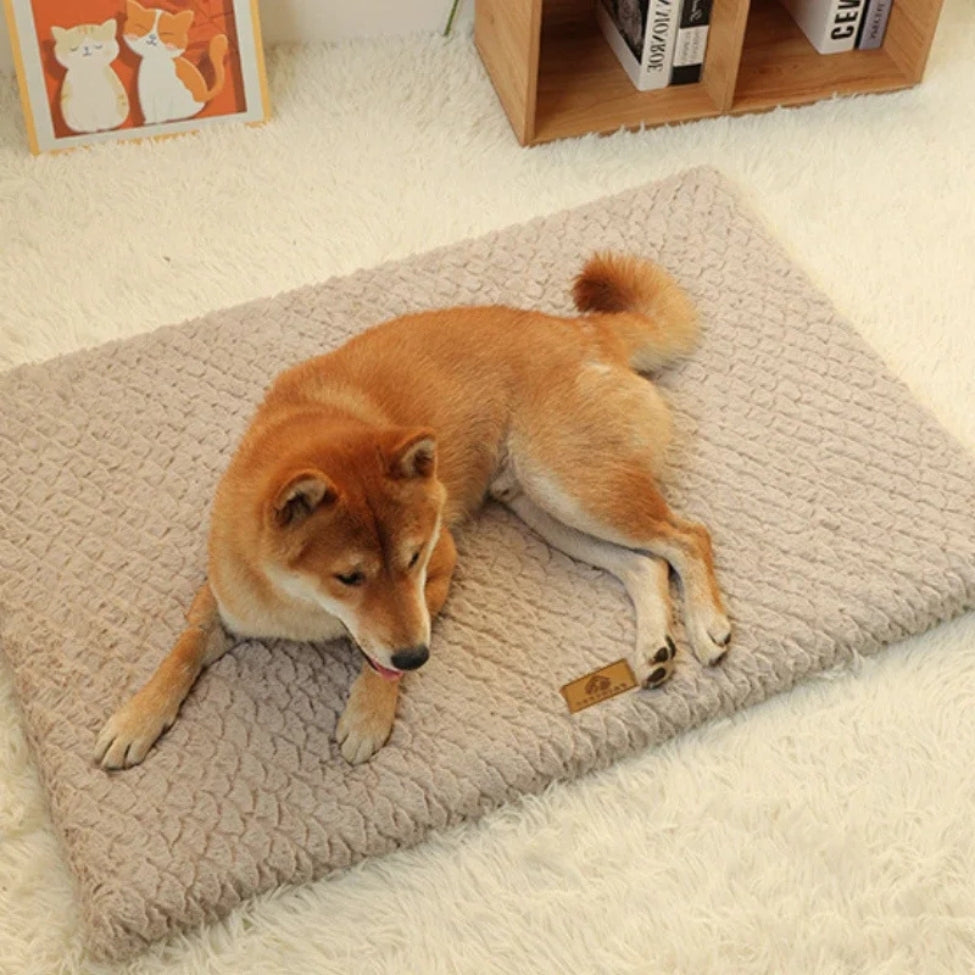 Shiba confortablement installé sur un tapis chien au sol