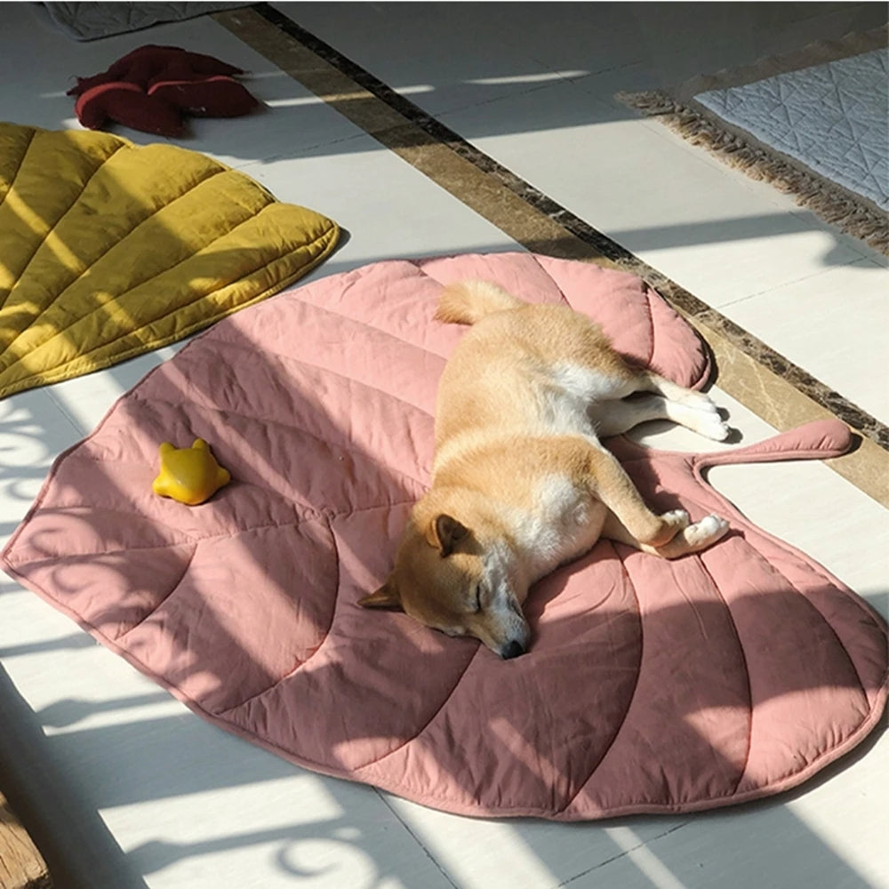 Shiba installé sur un tapis chien au style original
