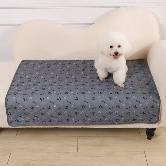 Tapis pour chien servant de protection canapé avec un toutou installé