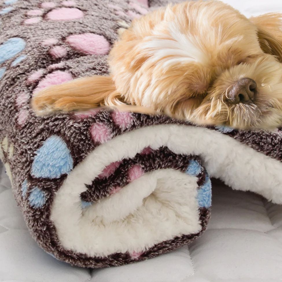 Toutou dormant confortablement sur un tapis pour chien sommeil