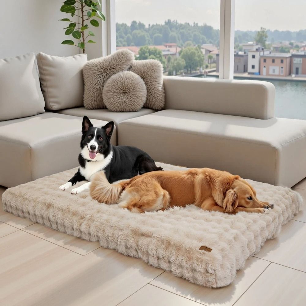 Un border collie et un golden se détendent sur un tapis pour chien spacieux et doux