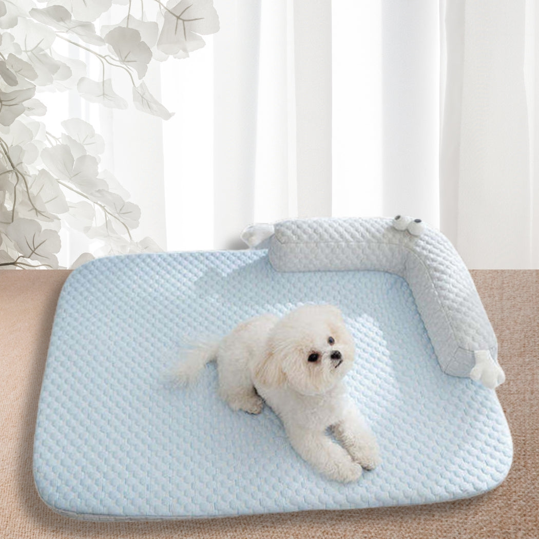 Bichon détendu, bien-être total sur son tapis rafraichissant chien
