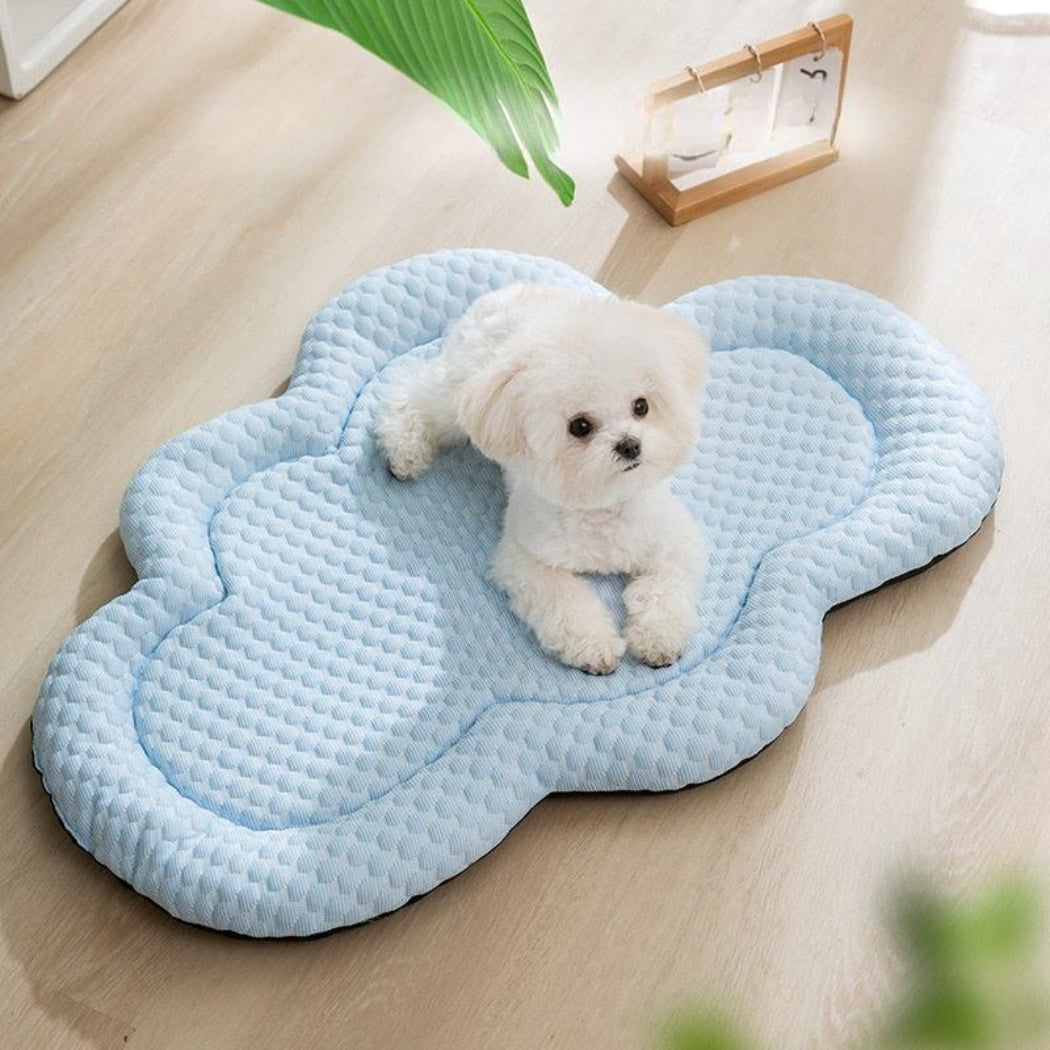 Petit bichon allongé sur un tapis rafraîchissant chien doux, sensation de fraîcheur
