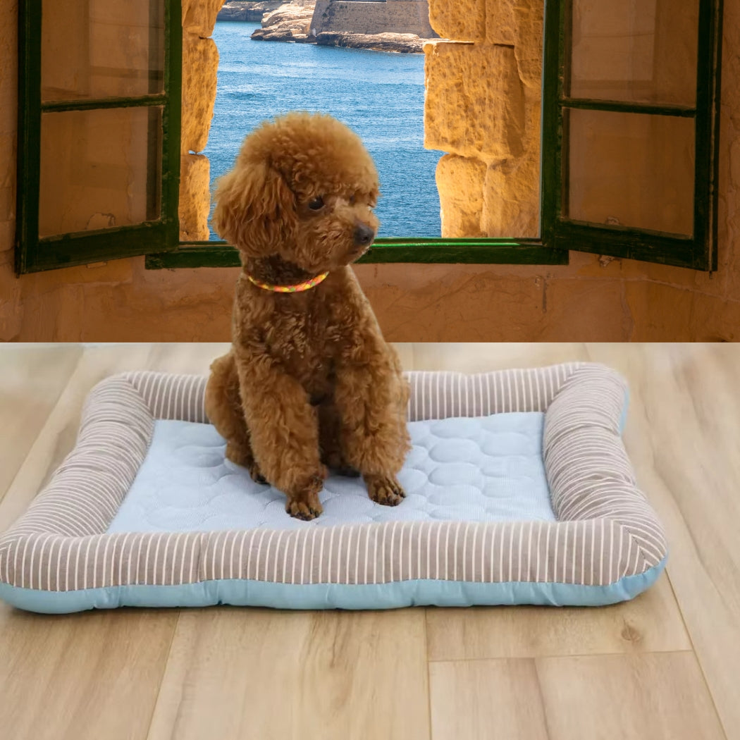 Caniche installé sur un tapis rafraichissant chien dans un espace frais