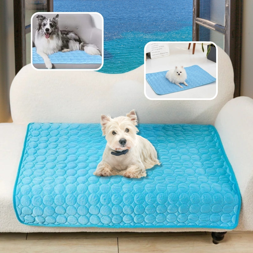 tapis rafraichissant pour chien | COLD ISLANDâą