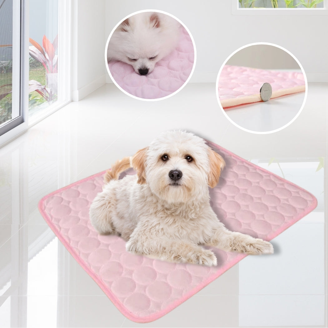 tapis rafraichissant pour chien | COLD ISLANDâą