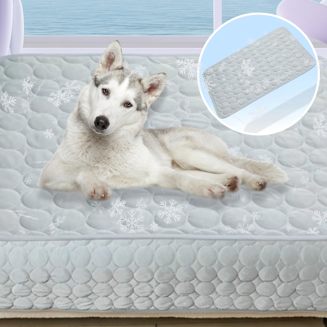 tapis-rafraichissant-pour-chien-protection-rafraîchissante-freshly