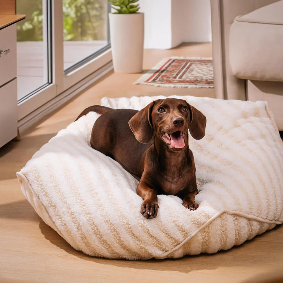 Un petit teckel est allongé confortablement sur un coussin pour chien déhoussable