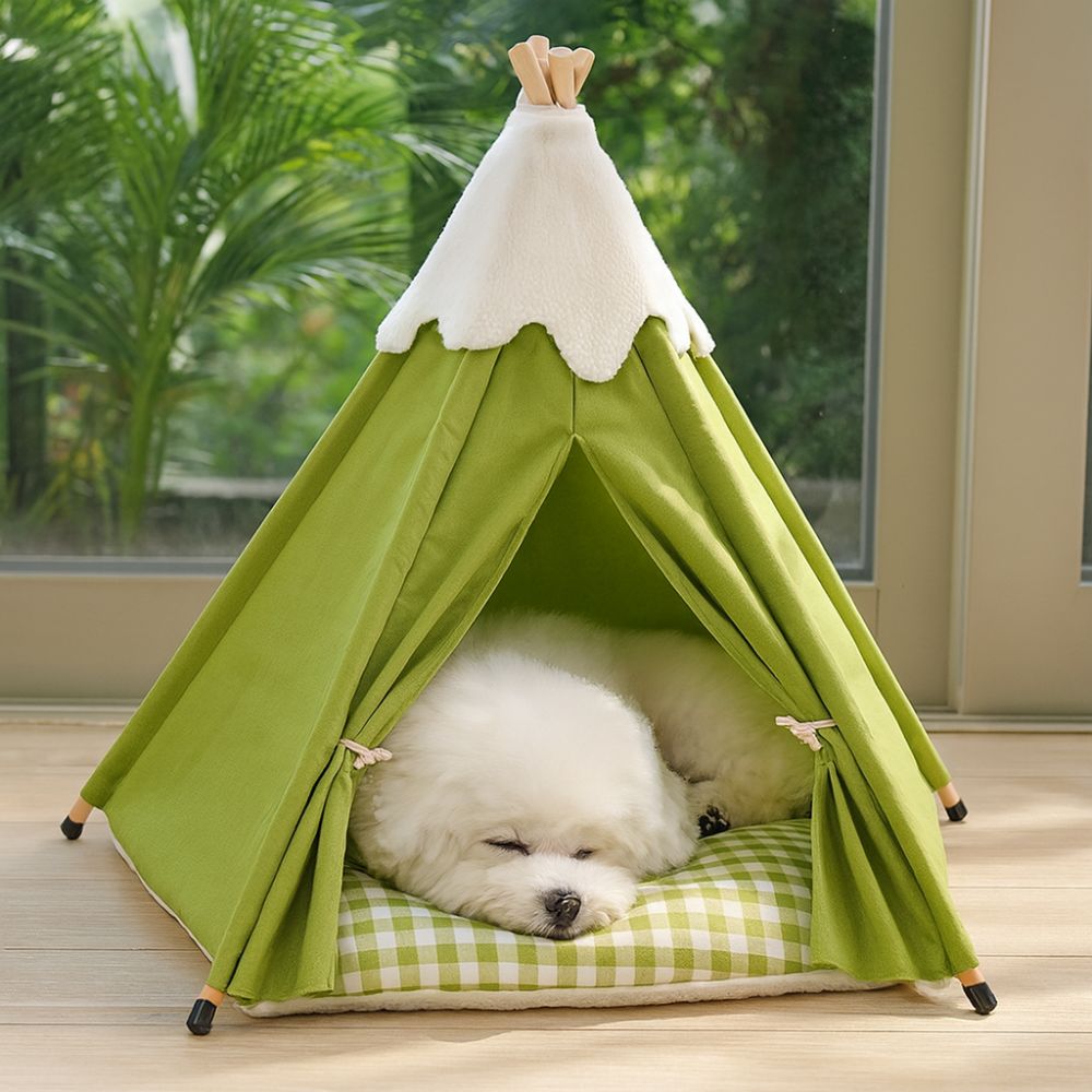 Bichon endormi paisiblement dans un tipi pour chien vert