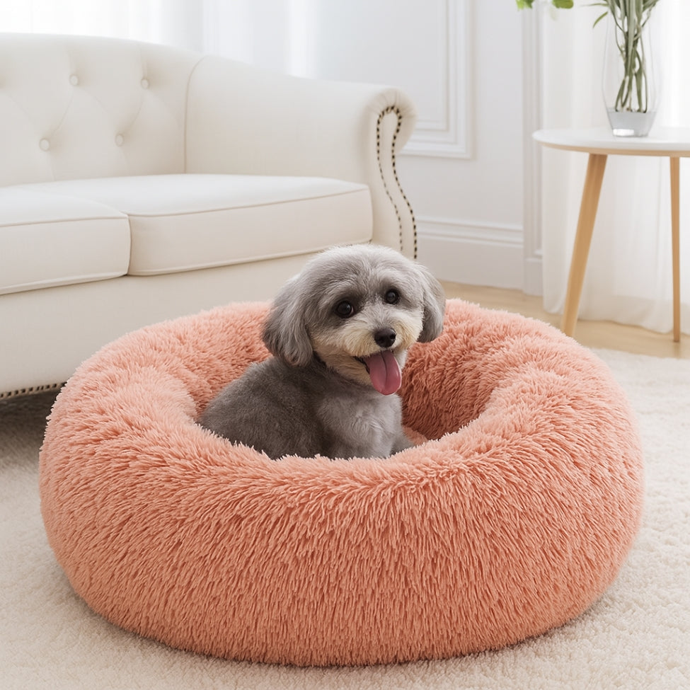 Petit chien assis confortablement sur son coussin chien chic
