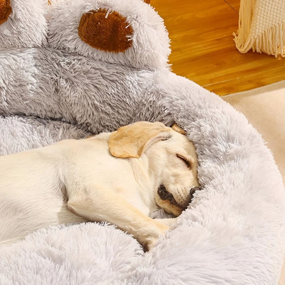 Toutou blotti dans un panier pour chien anti-stress, bord moelleux