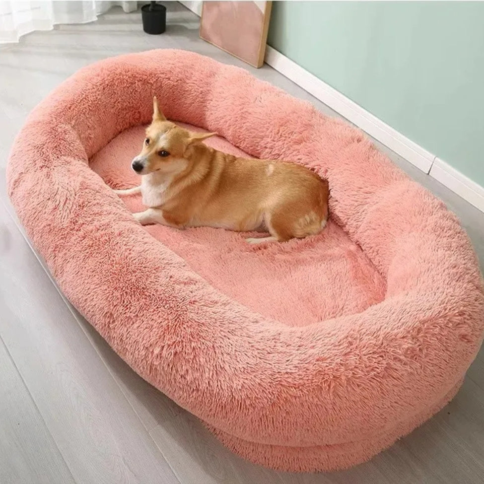 chien allongé dans lit chien rose