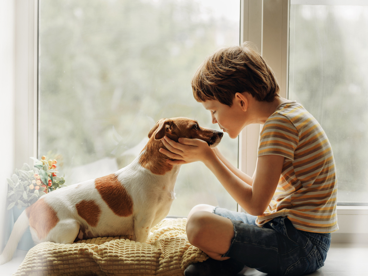 Enfant faisant un bisou à son chien Jack Russell