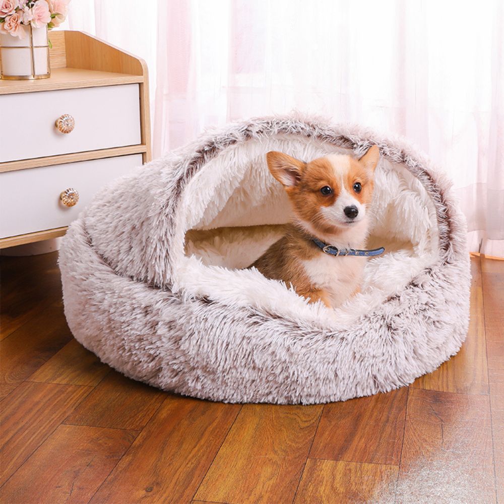 Toutou attentif dans son panier pour chien moelleux, confort et sécurité absolus