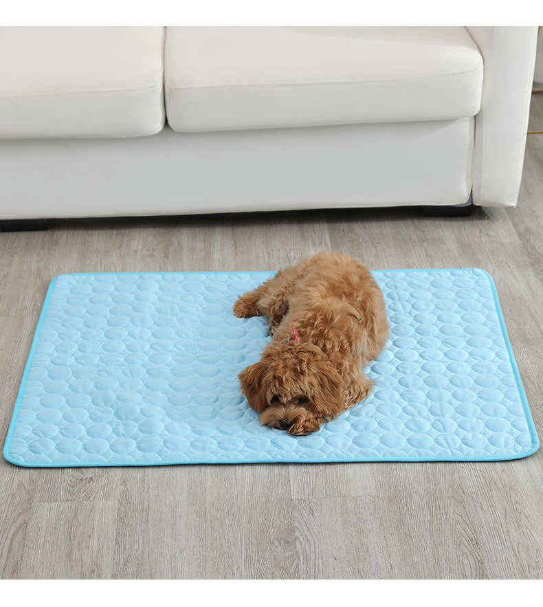 Toutou allongé au sol, apaisé sur son tapis rafraichissant pour chien
