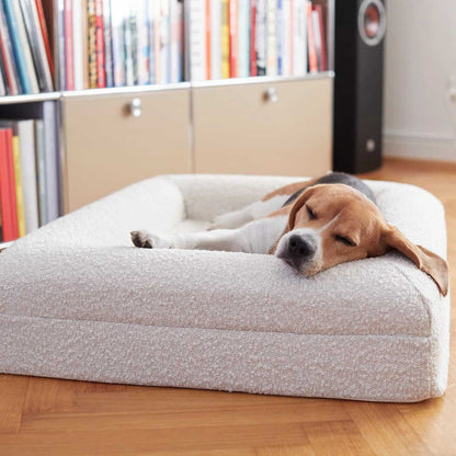 Beagle dormant profondément, détendu sur un canapé pour chien confortable et apaisant