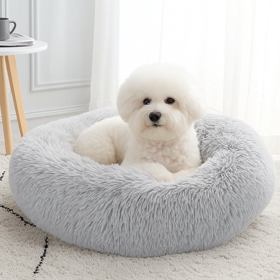 bichon-assis-dans-son-coussin-pour-chien