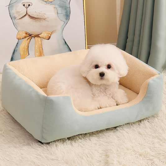 Bichon blanc blotti dans son lit pour chien, regard curieux