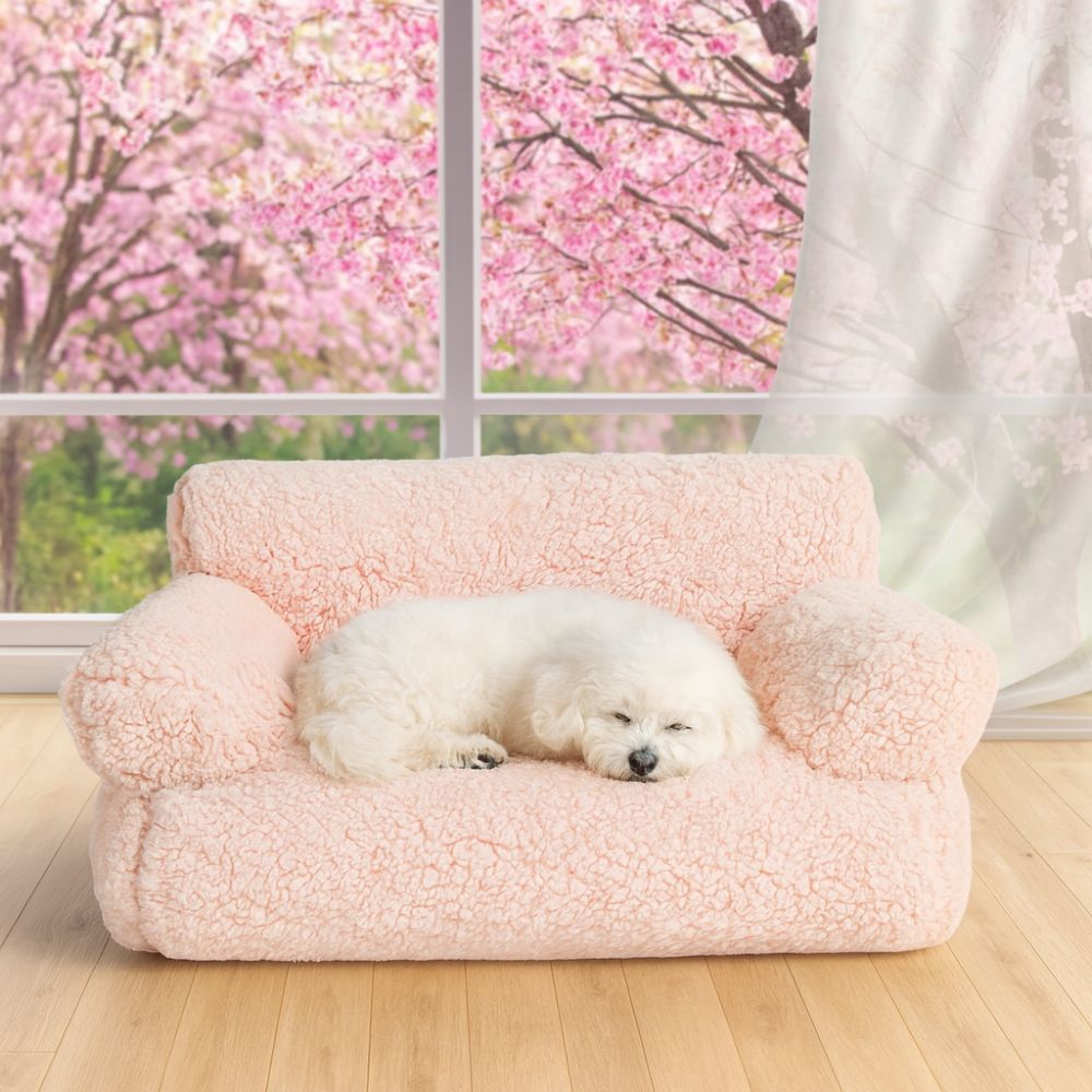 Bichon blotti sur un canapé chien rose, couchage apaisant et rassurant